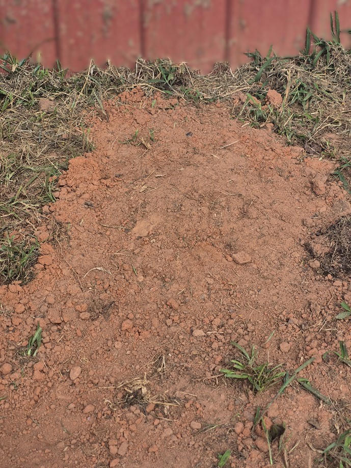 New Grave Site